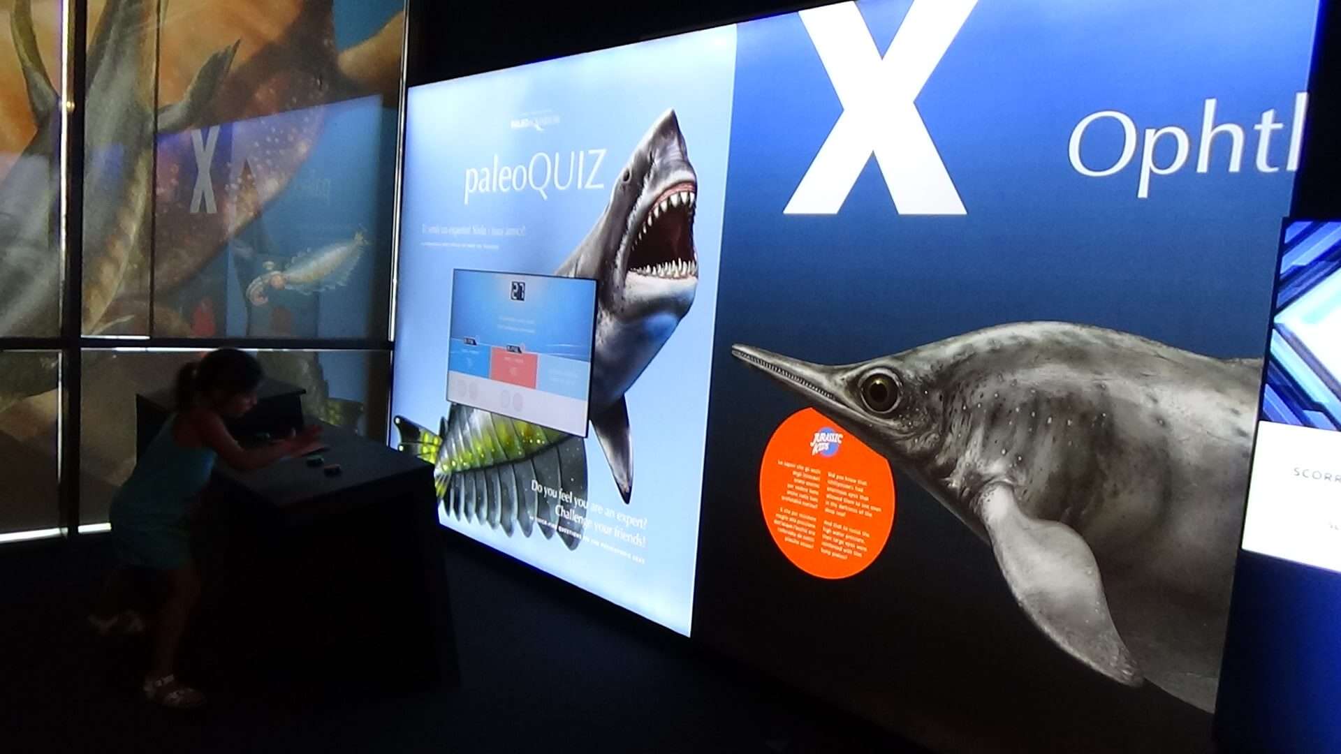 Paleoacquario (2)