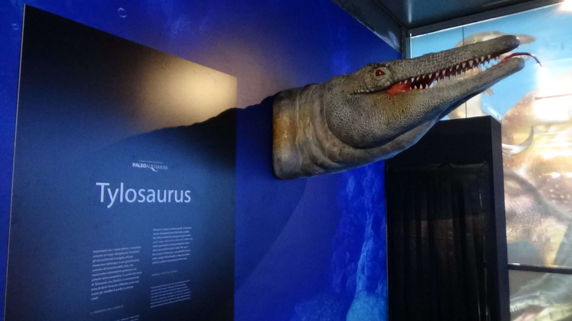Paleoacquario (3)