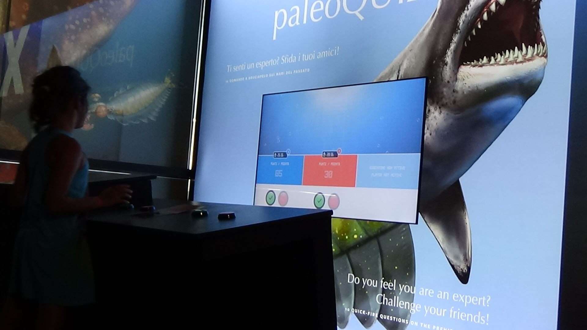 Paleoacquario (5)