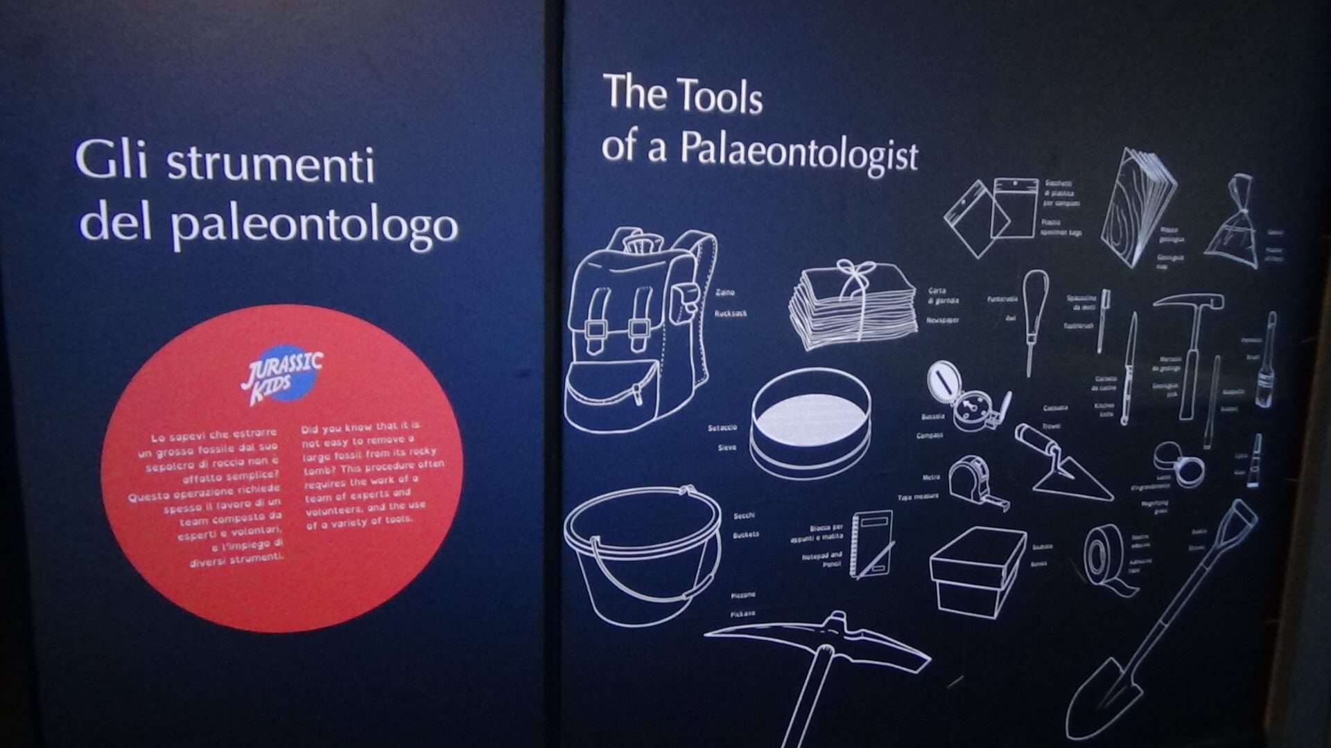 Paleoacquario (8)