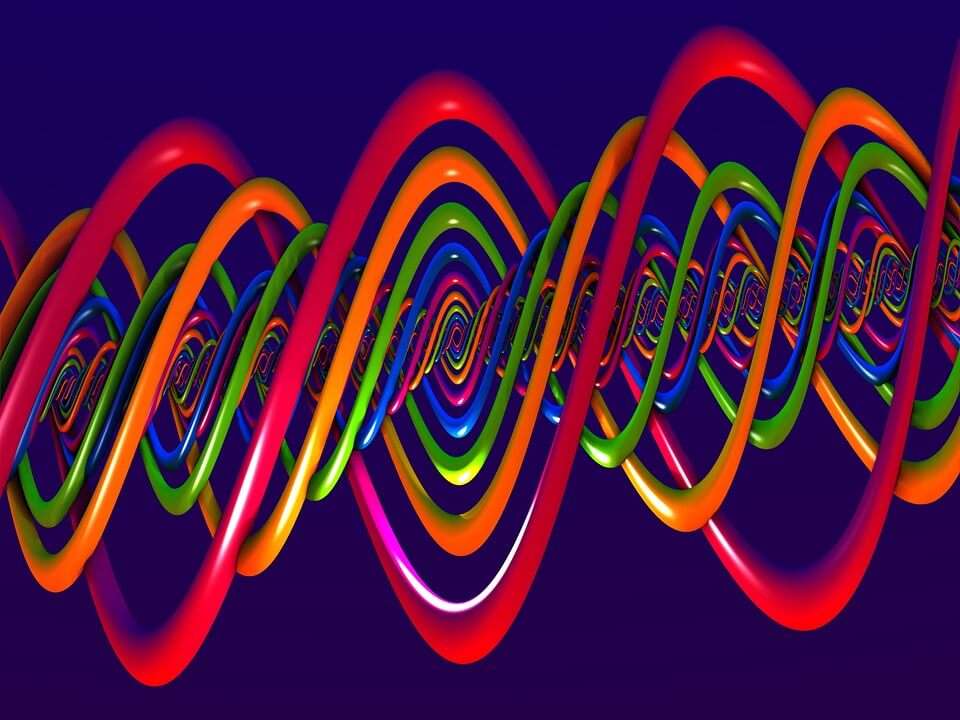 dna