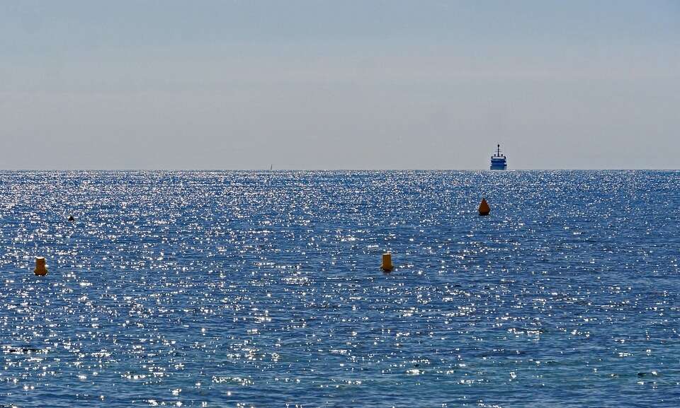 mare