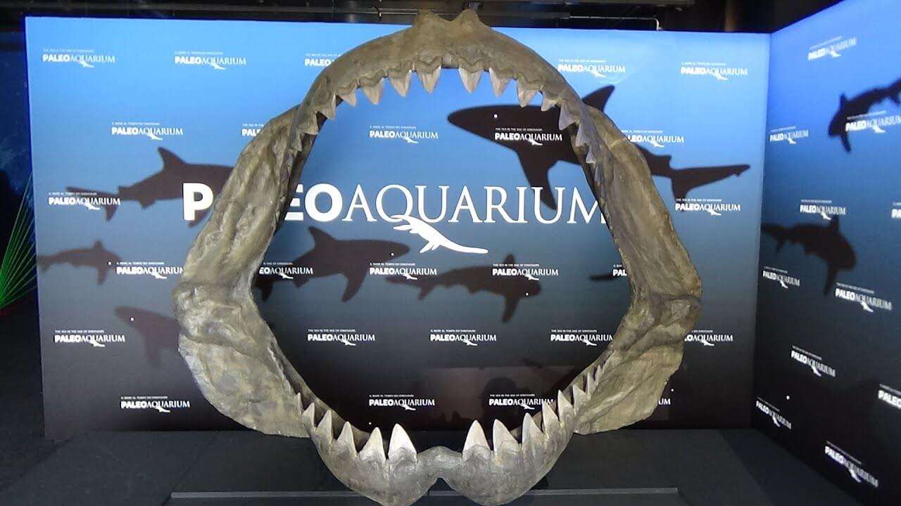 53755