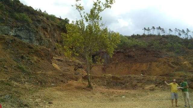 pulizia area 3