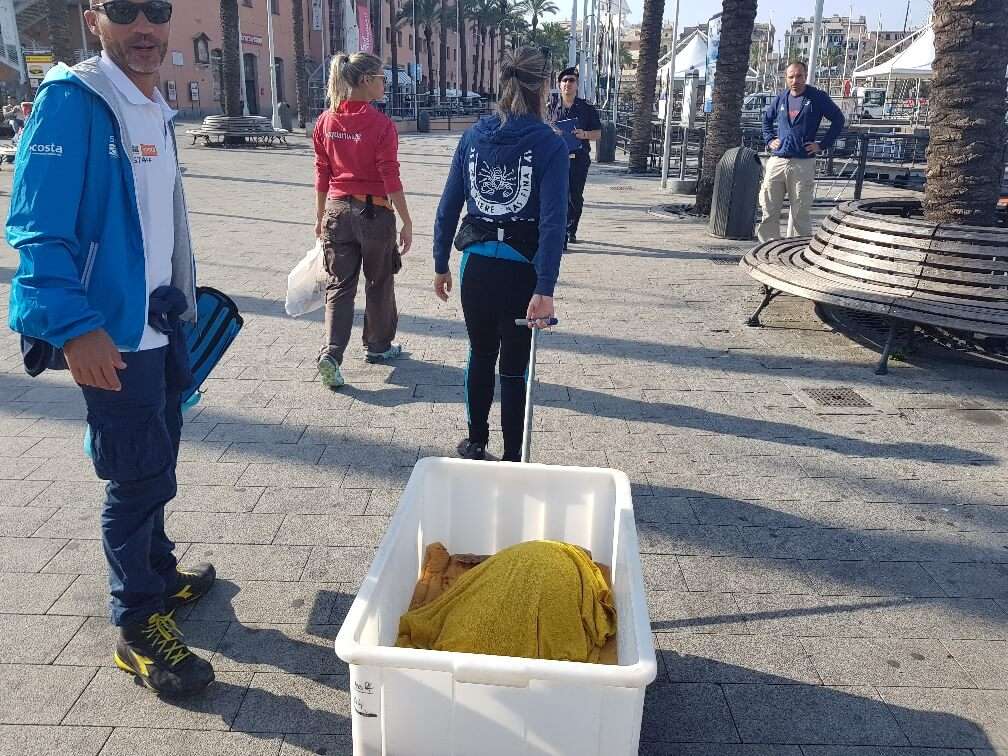Trasferimento Regina verso motovedetta
