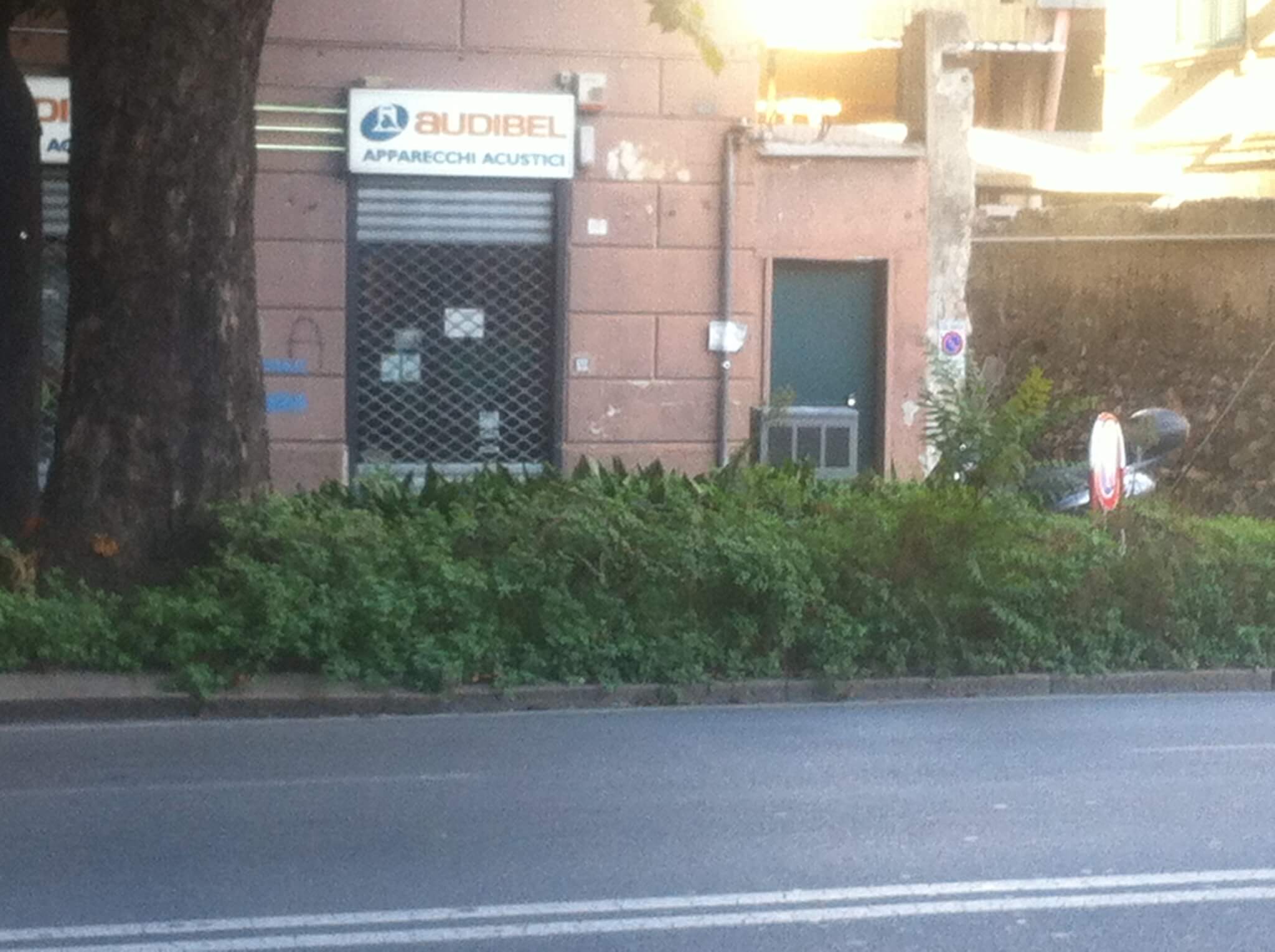 Ailanto in via Soliman