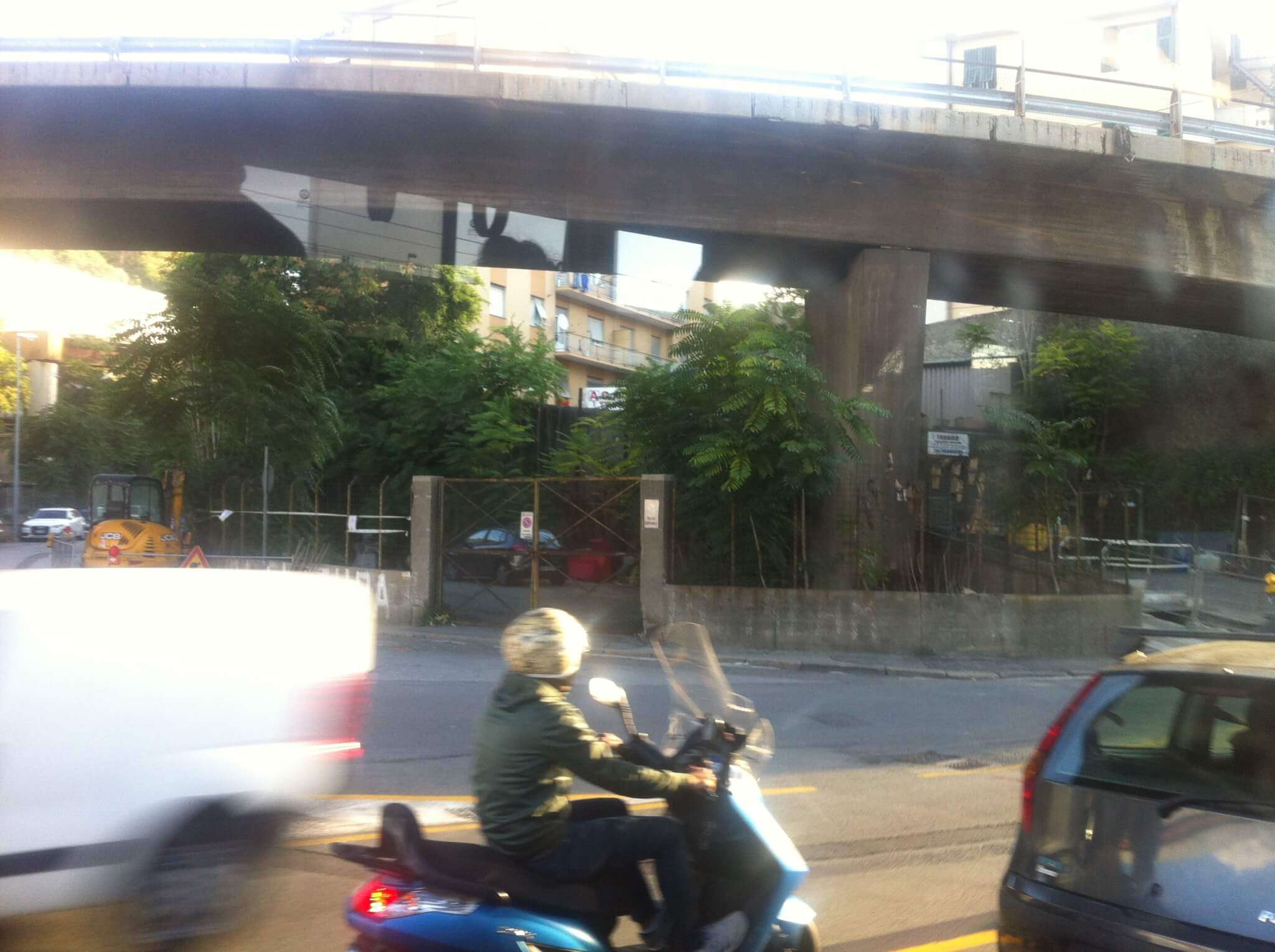 Ailanto sotto la rampa per l’ingresso del casello Genova Aeroporto