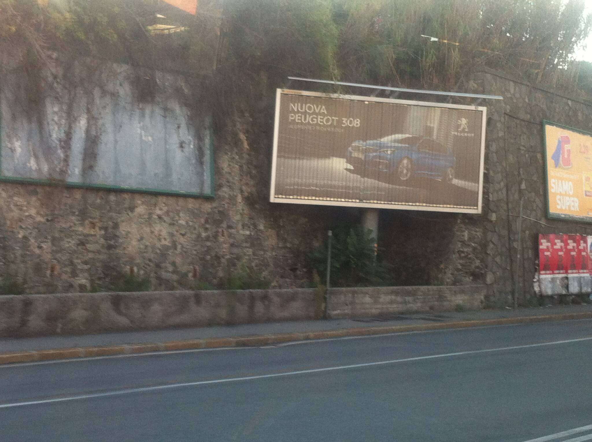 Ailanto in via Siffredi