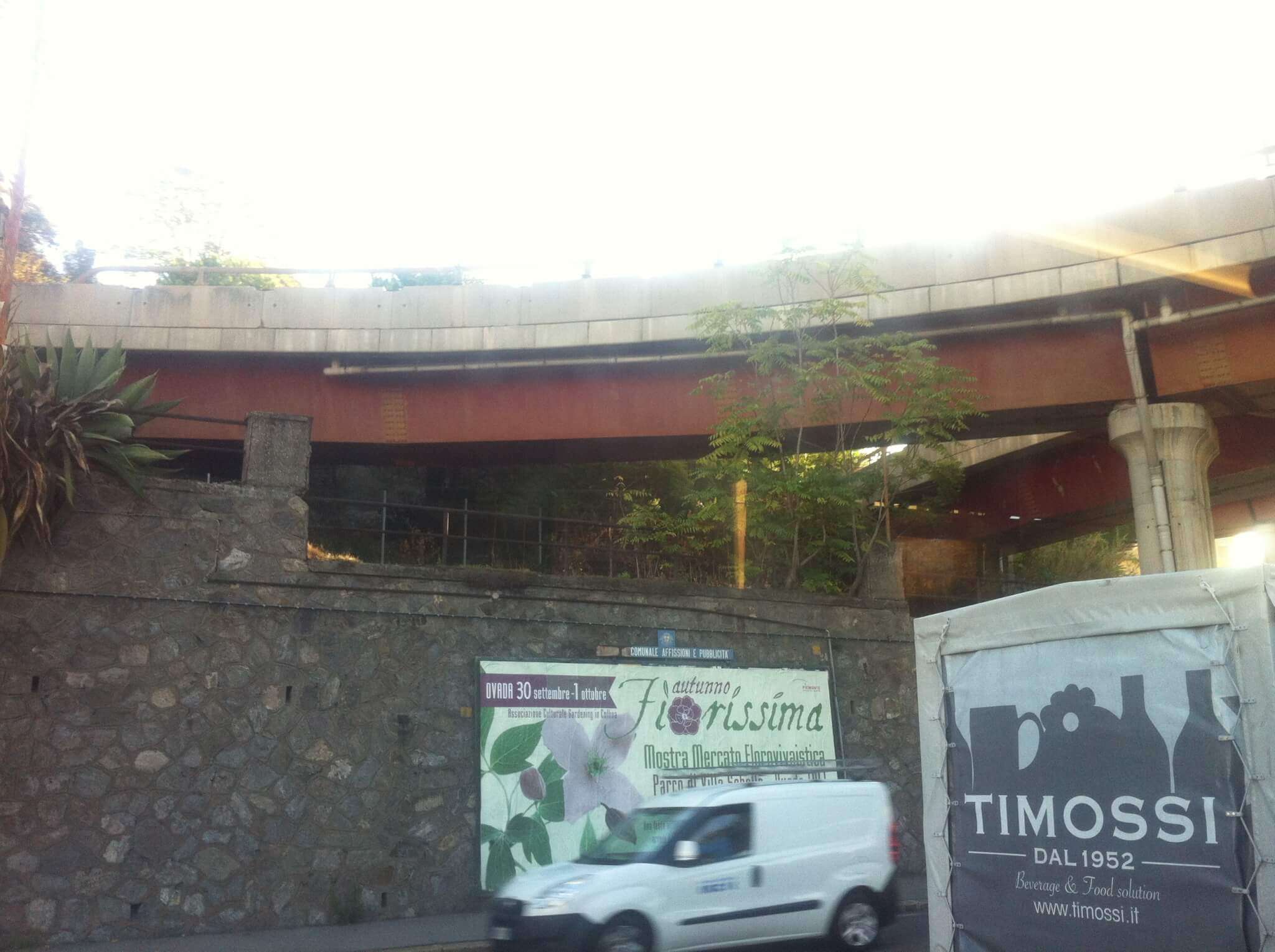Ailanto sotto la rampa per l’ingresso del casello Genova Aeroporto