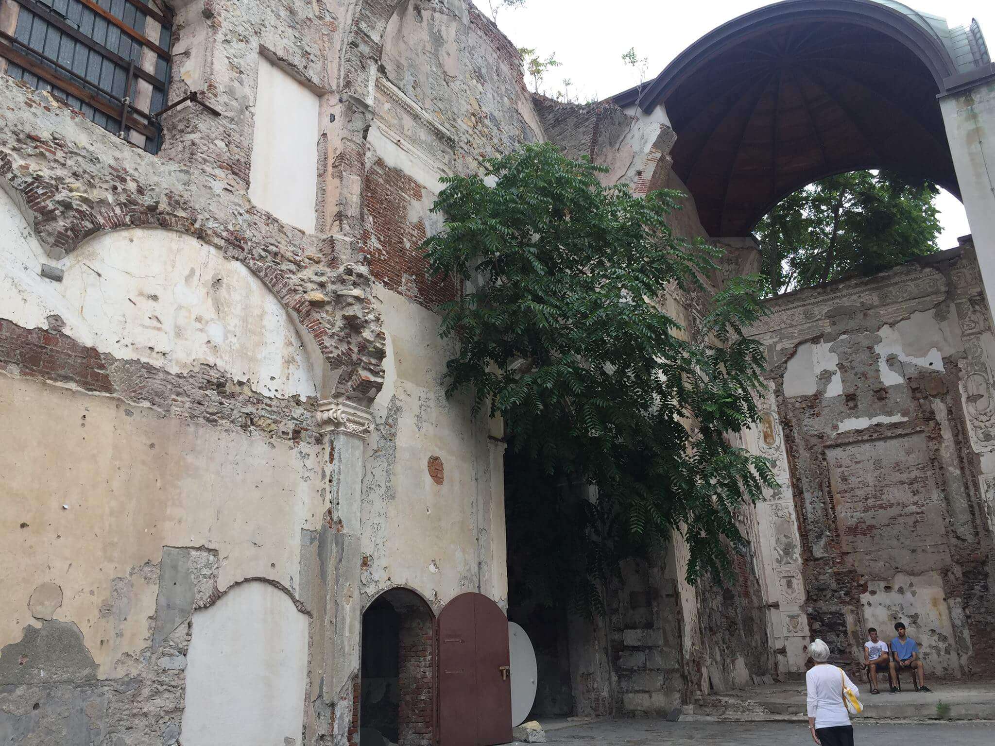 Ailanto in Santa Maria in Passione