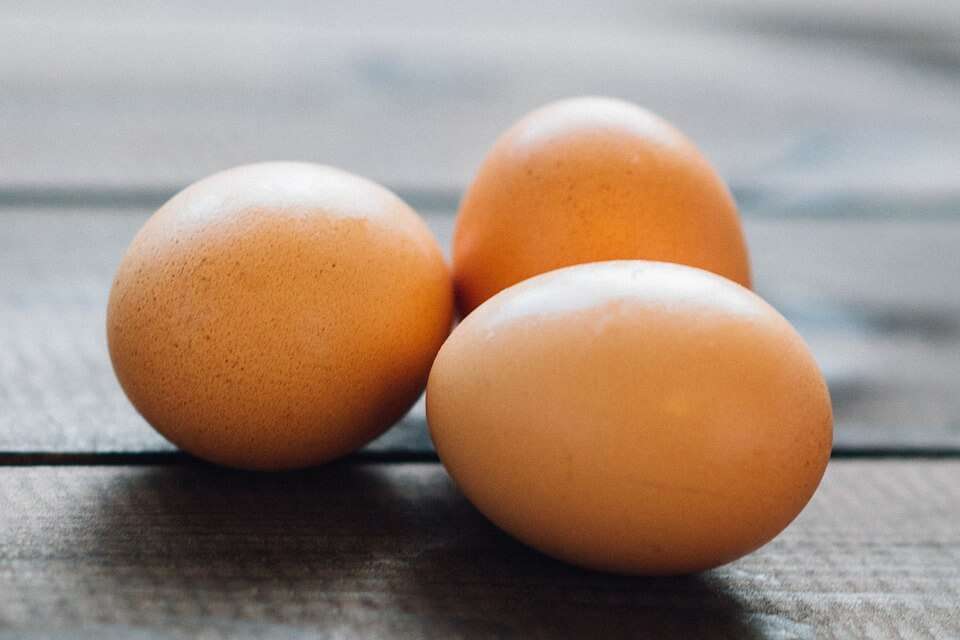uova