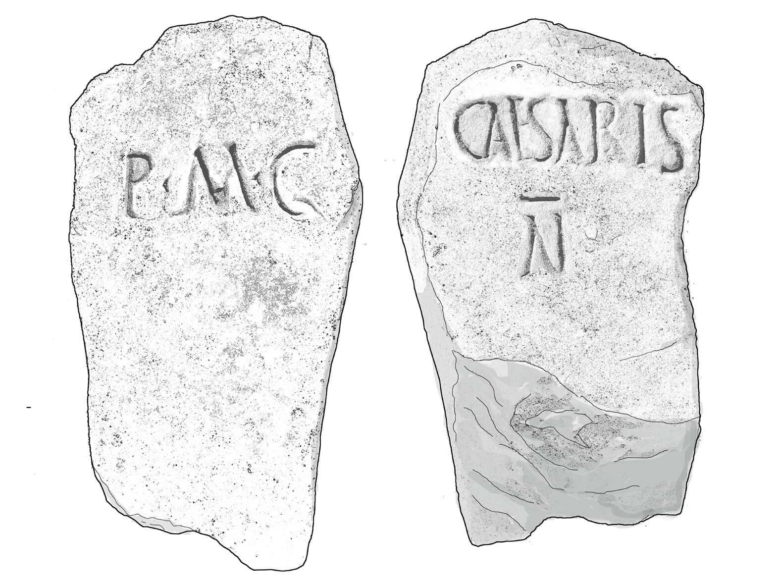 reperti musel
