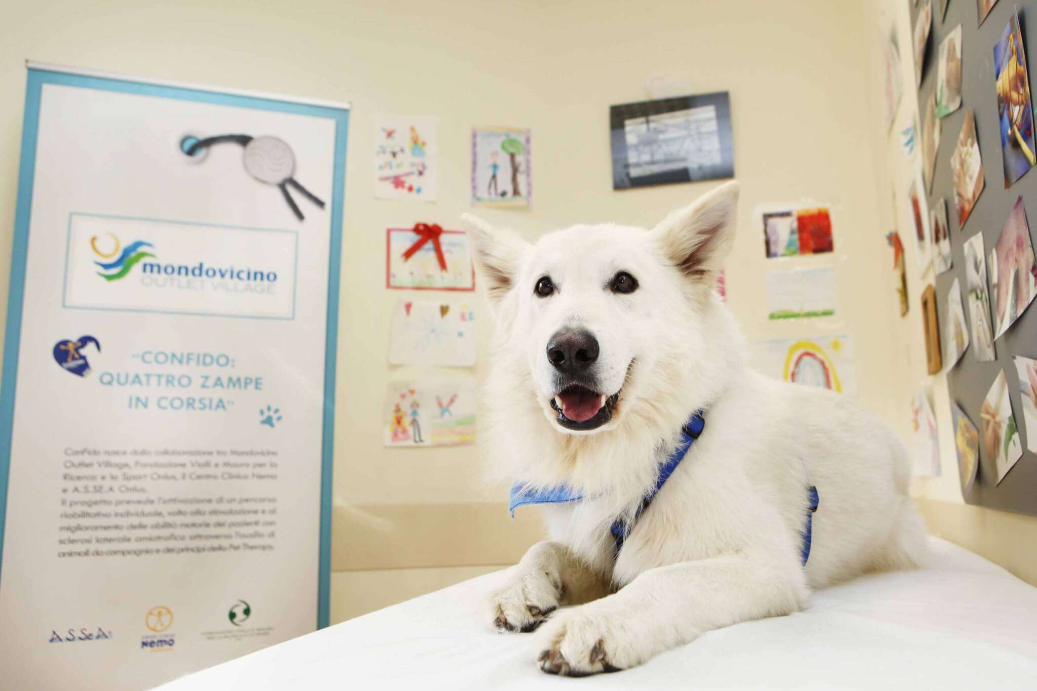 Pet Therapy