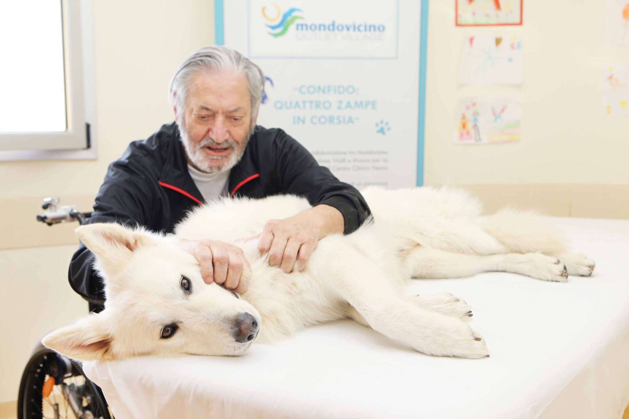 Pet Therapy