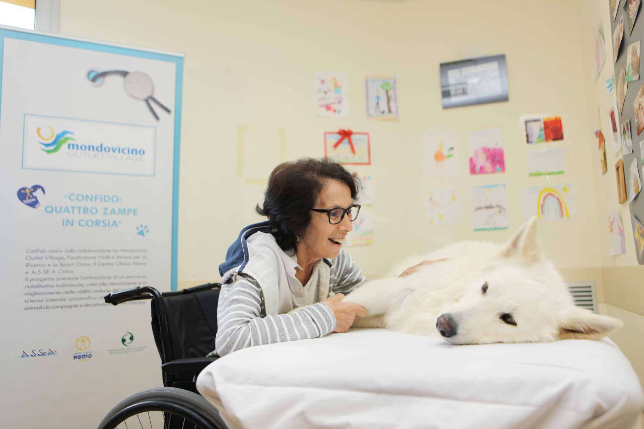 Pet Therapy