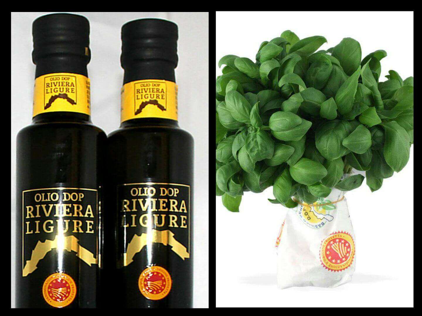 olio basilico dop e igp
