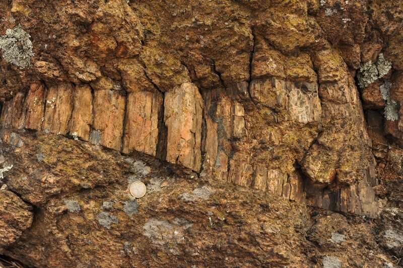 Scoperta rocce fossili terremoti