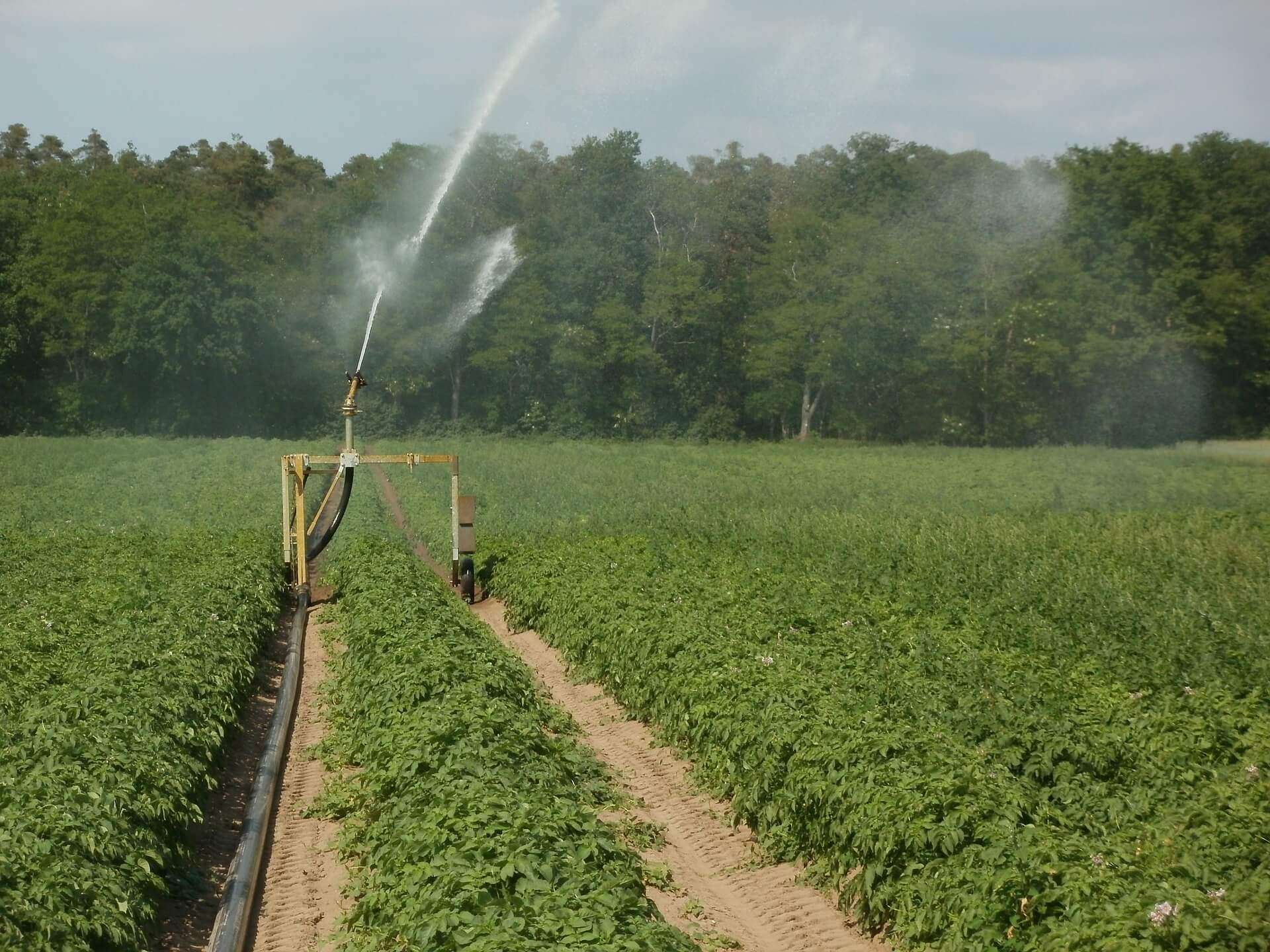 agricoltura