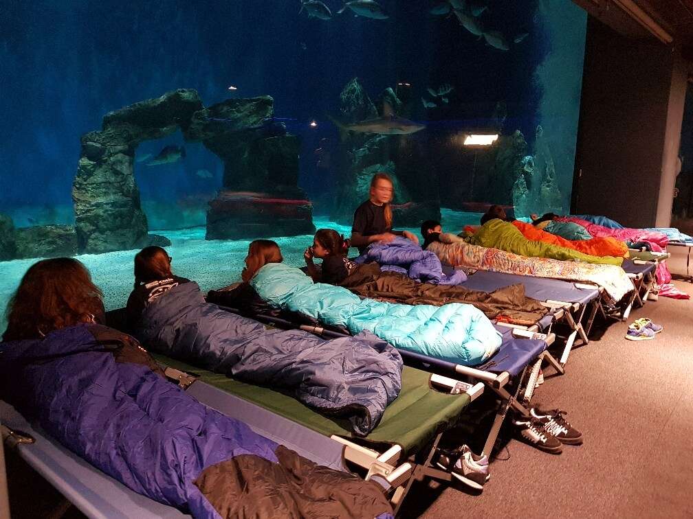 Notte con gli squali Acquario di Genova_bassa