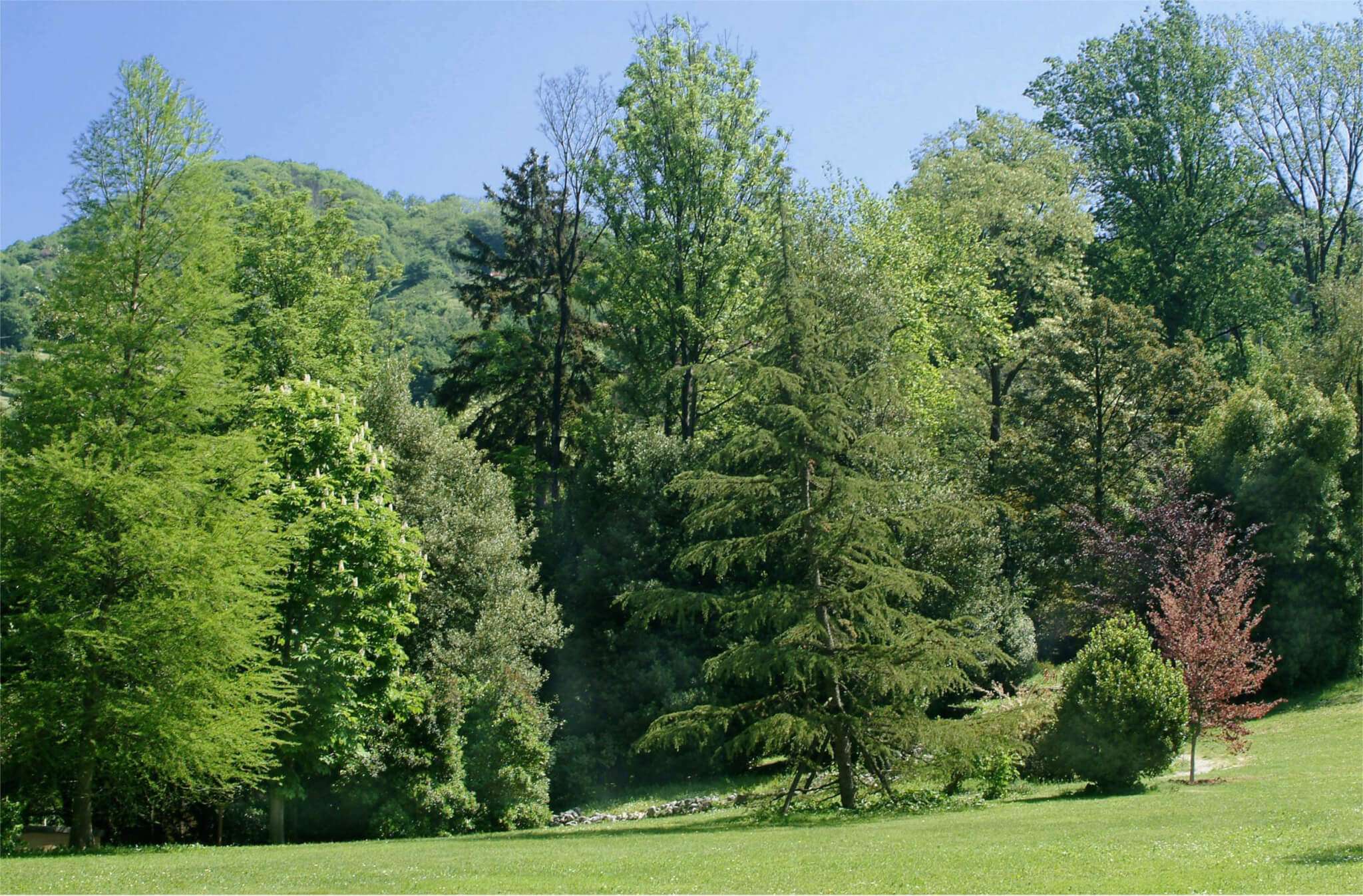 Villa Serra di Comago