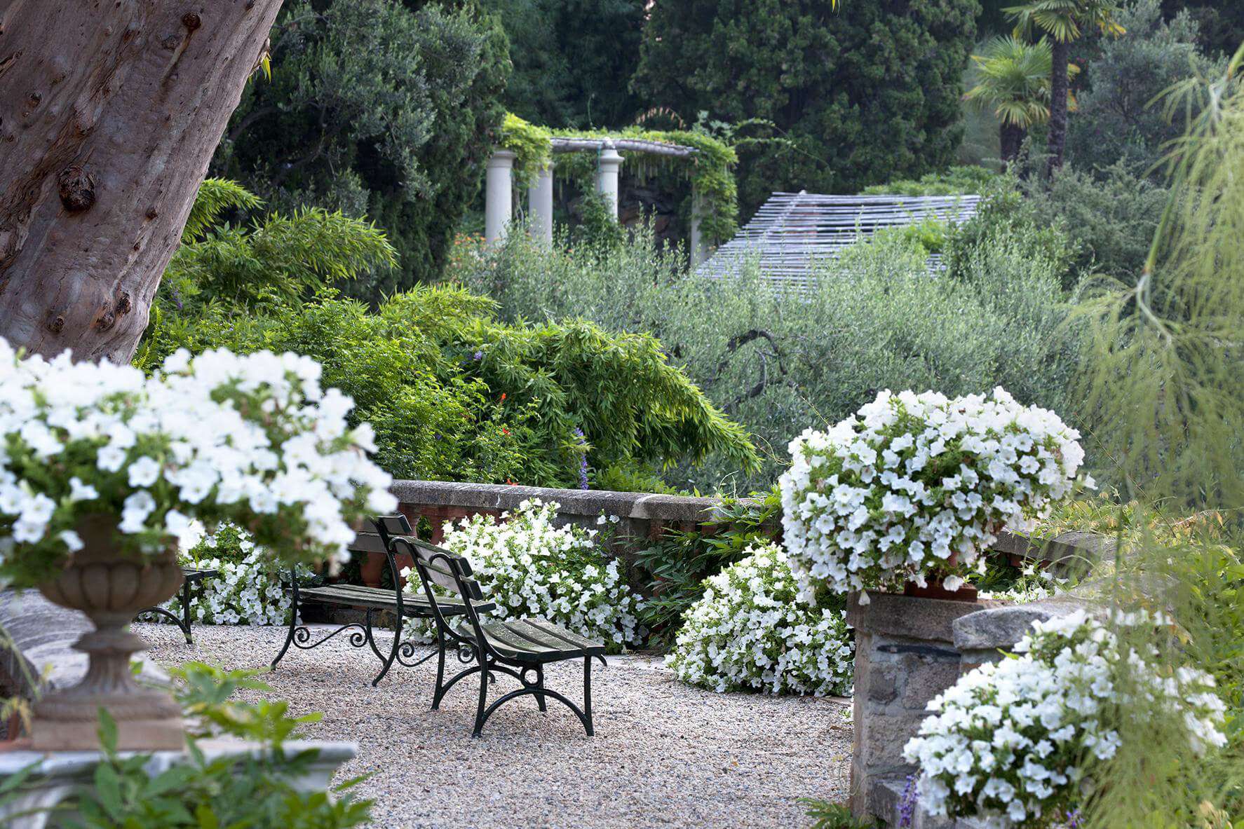 Villa della Pergola