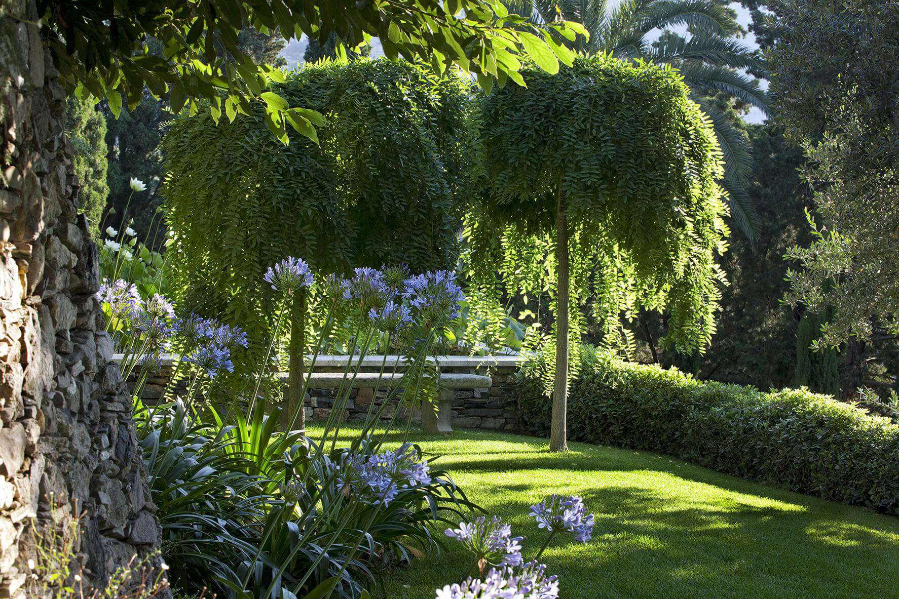 Villa della Pergola