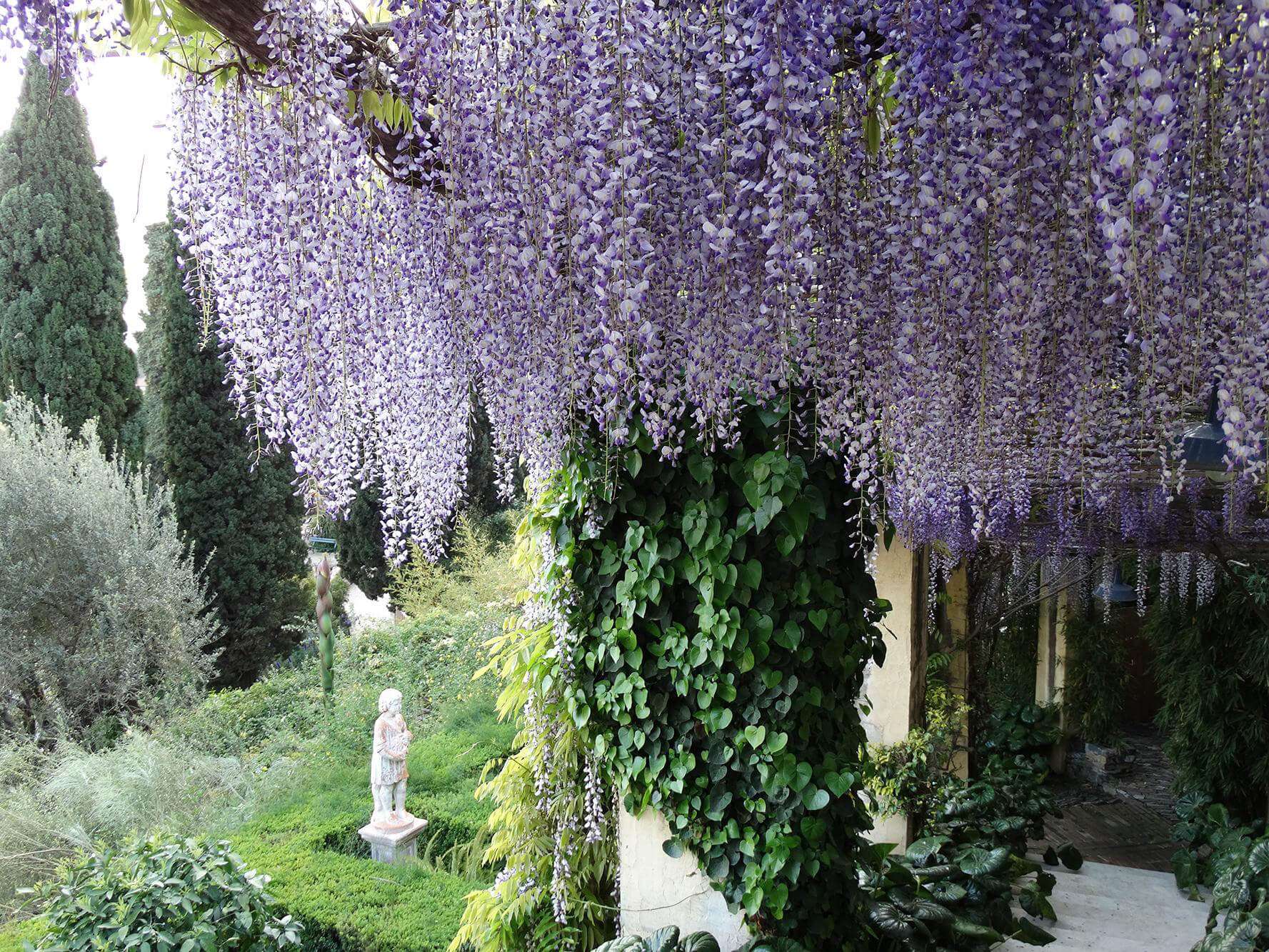 Villa della Pergola