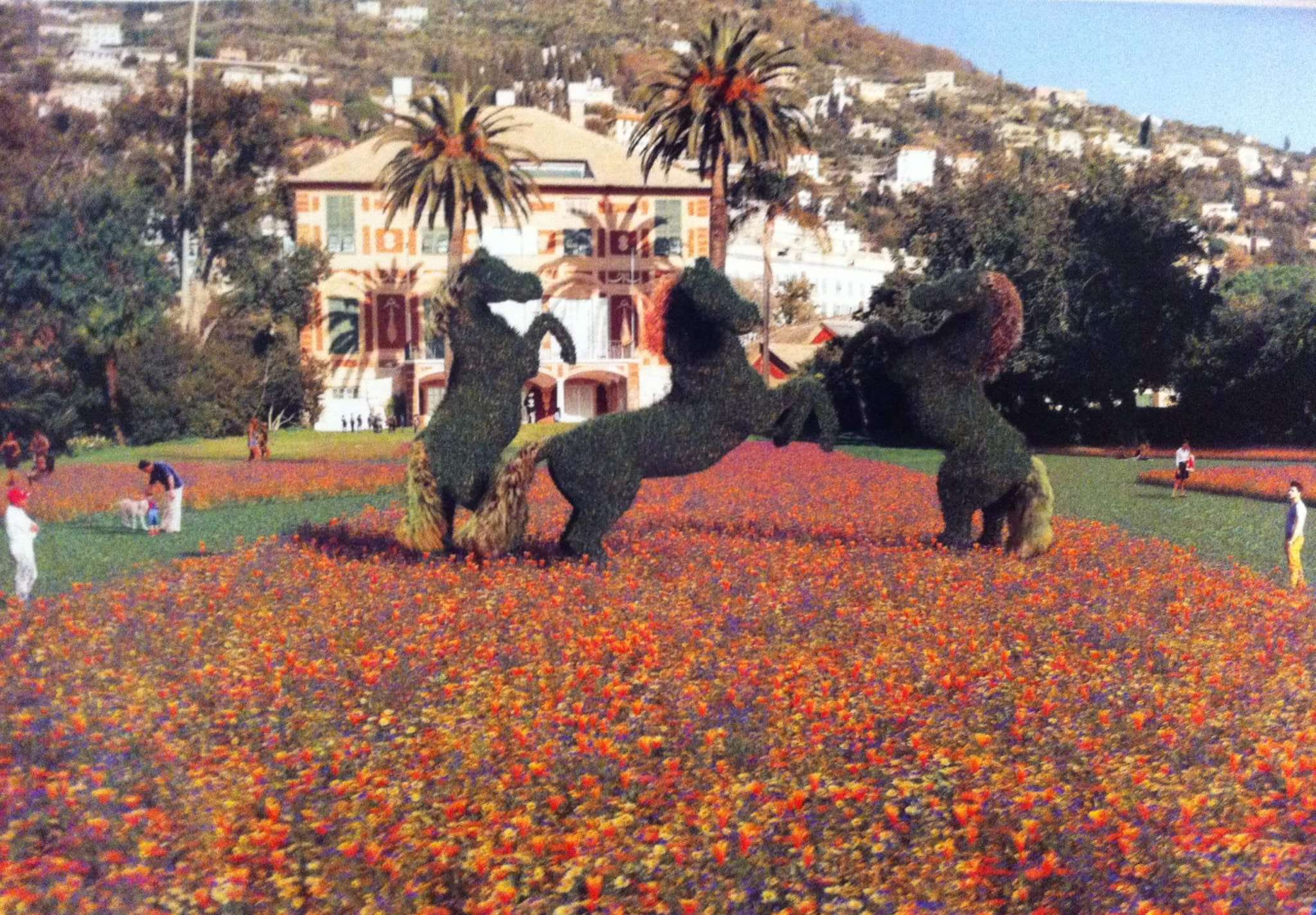 euroflora rendering