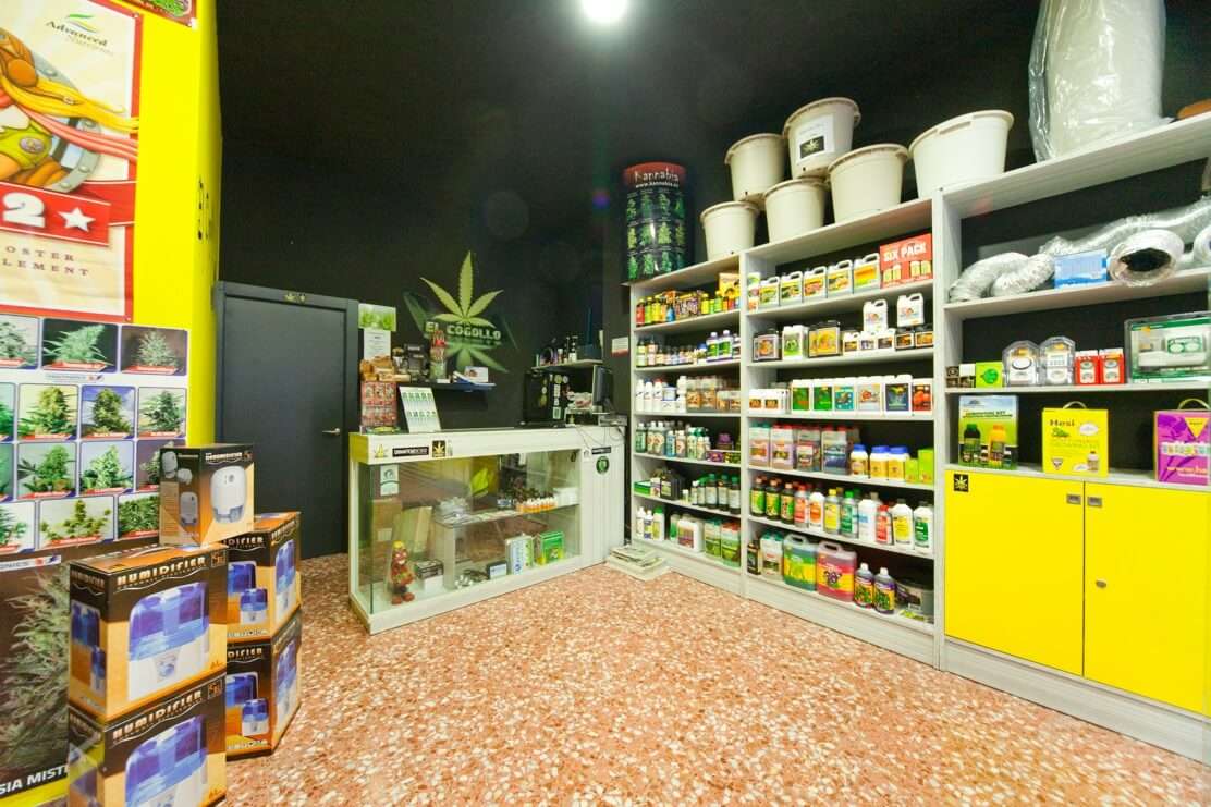 growshop, cannabis, canapa