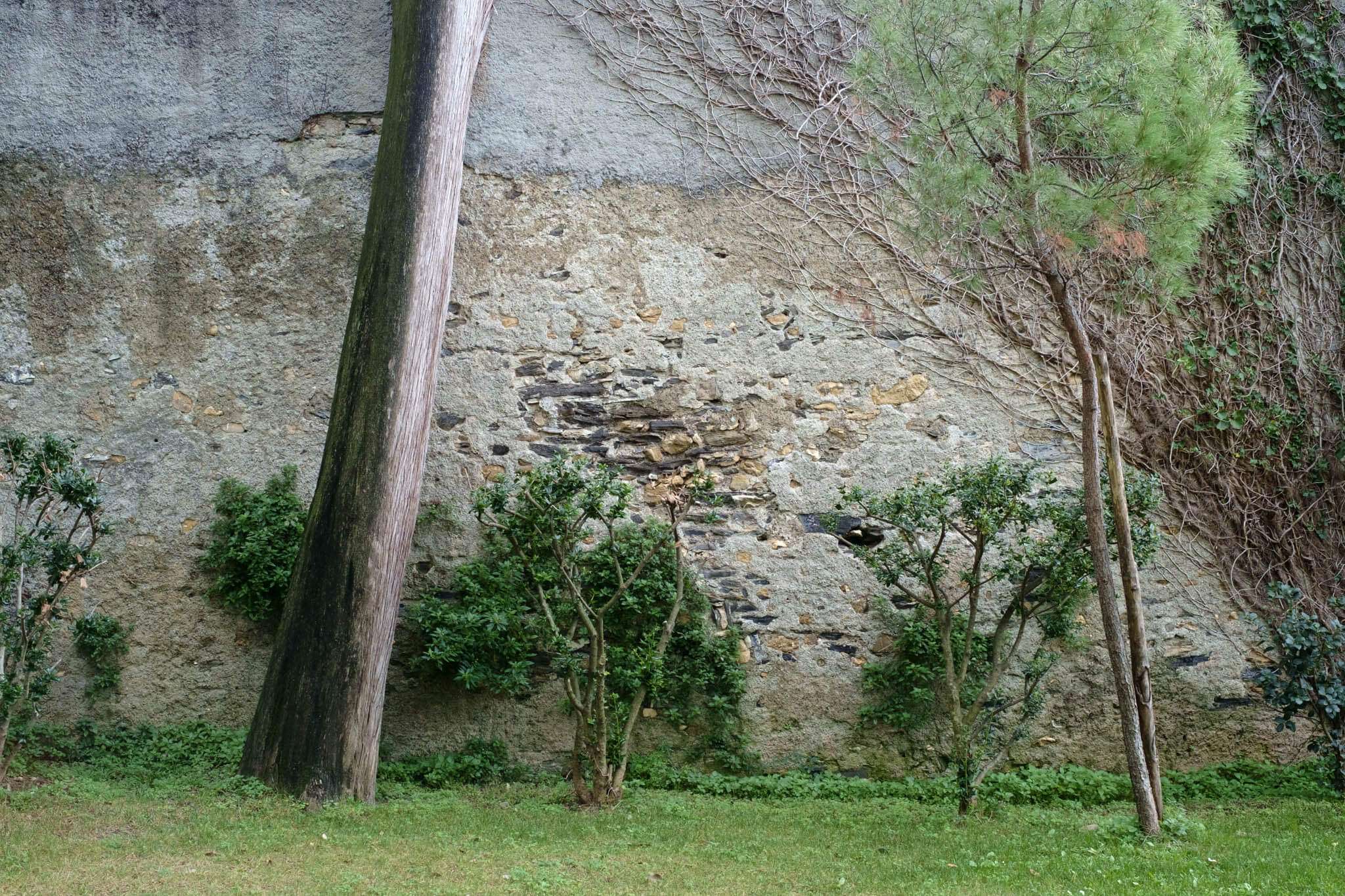 Parchi di Nervi