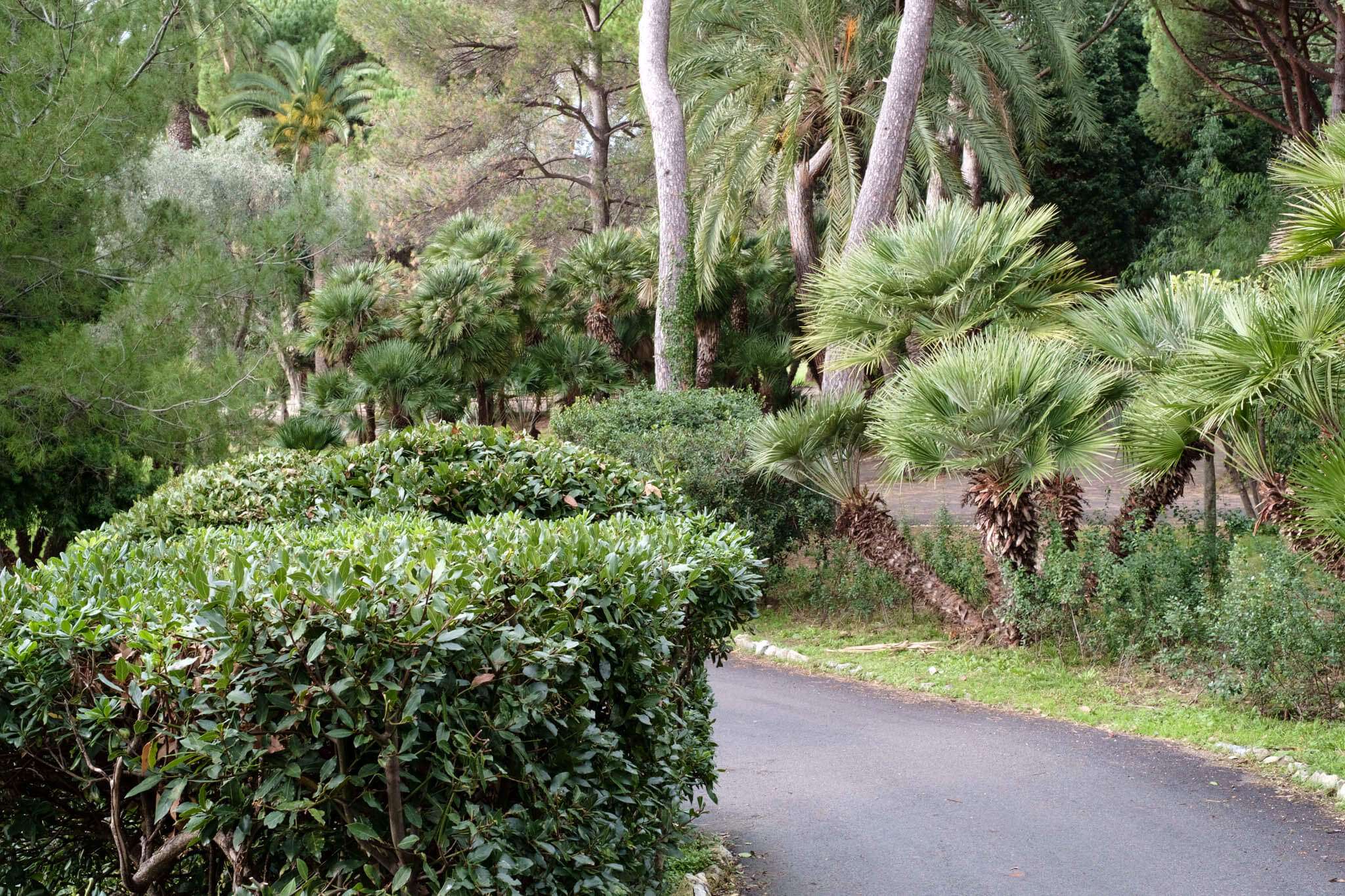 Parchi di Nervi