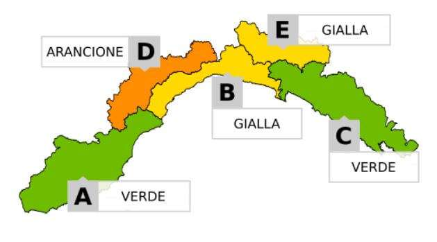 cartina allerta