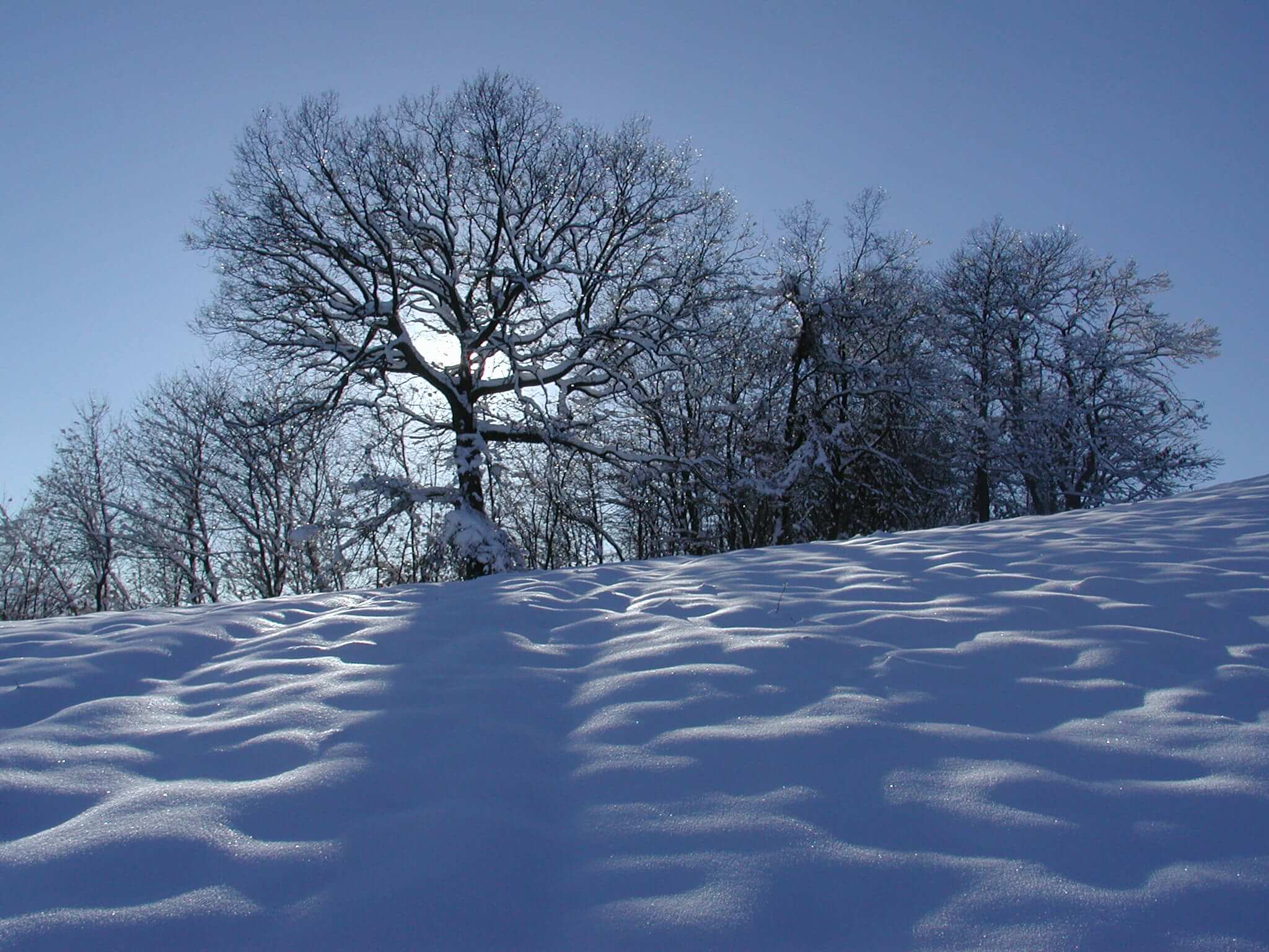 neve