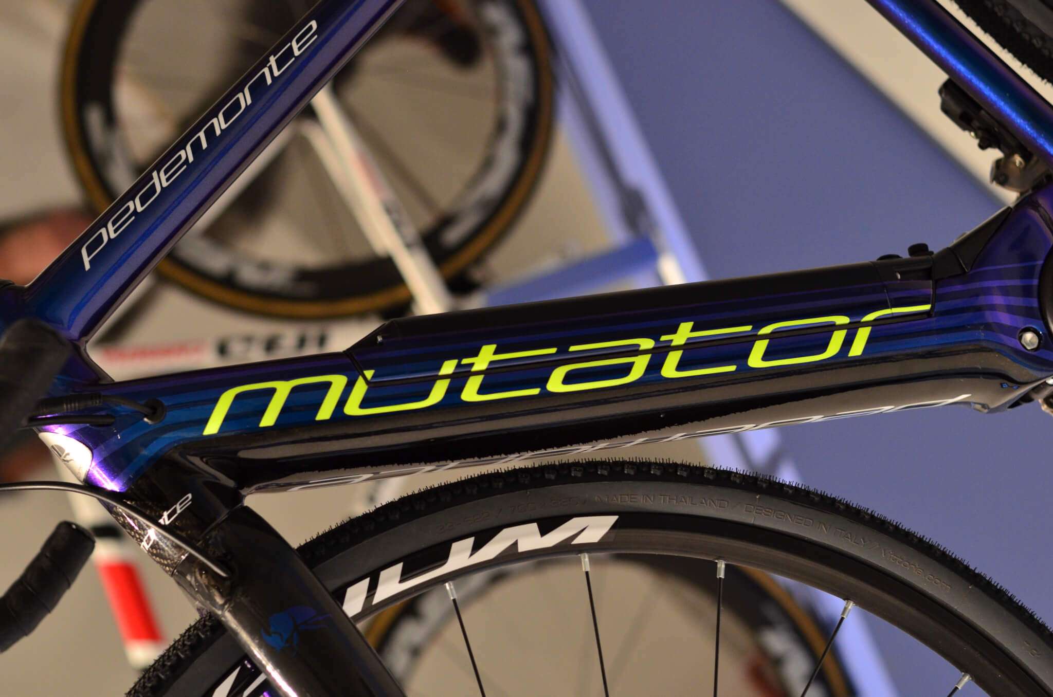 Bicicletta Pedemonte Bike 2