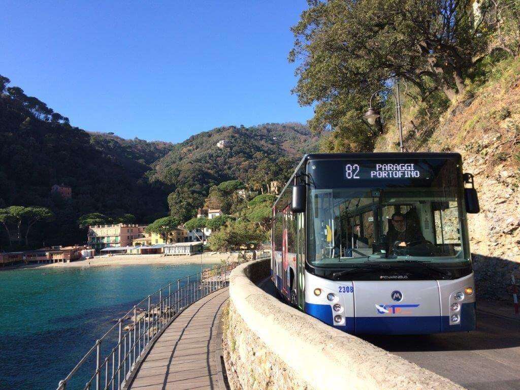 Linea82 atp portofino