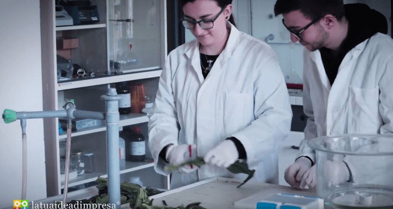 laboratorio