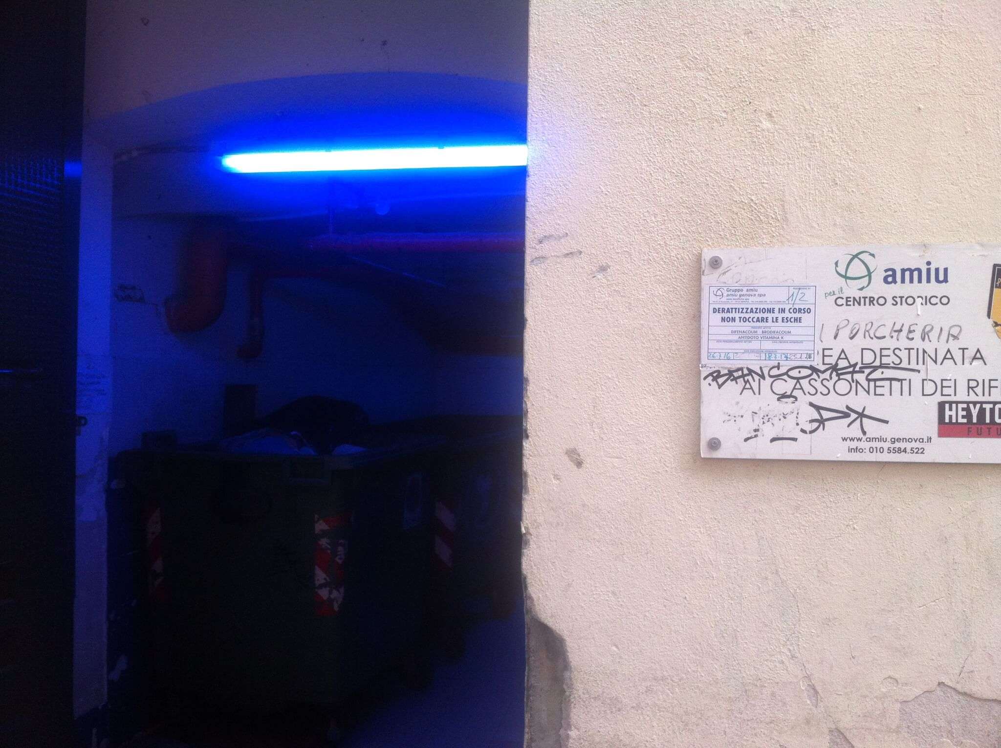 ecopunto amiu