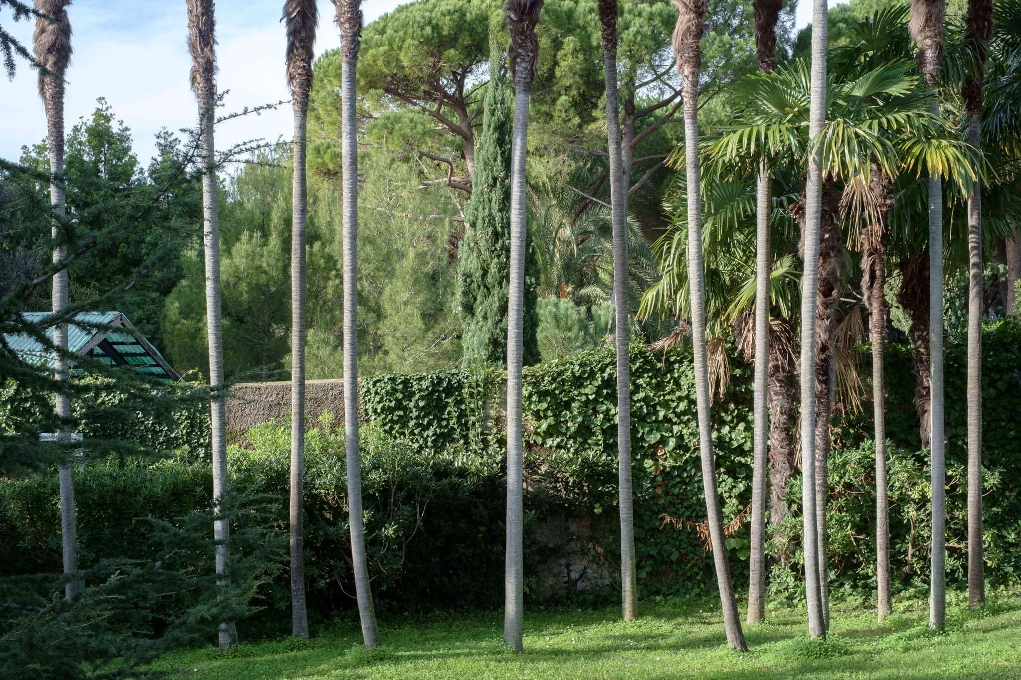 Parchi di Nervi