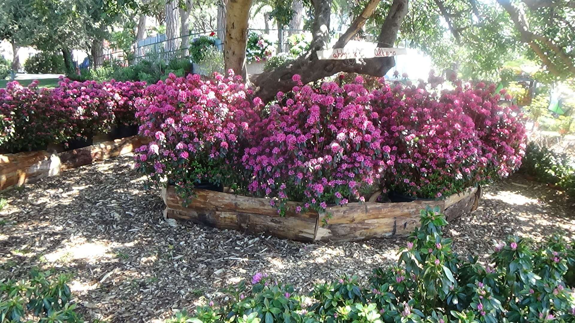 euroflora