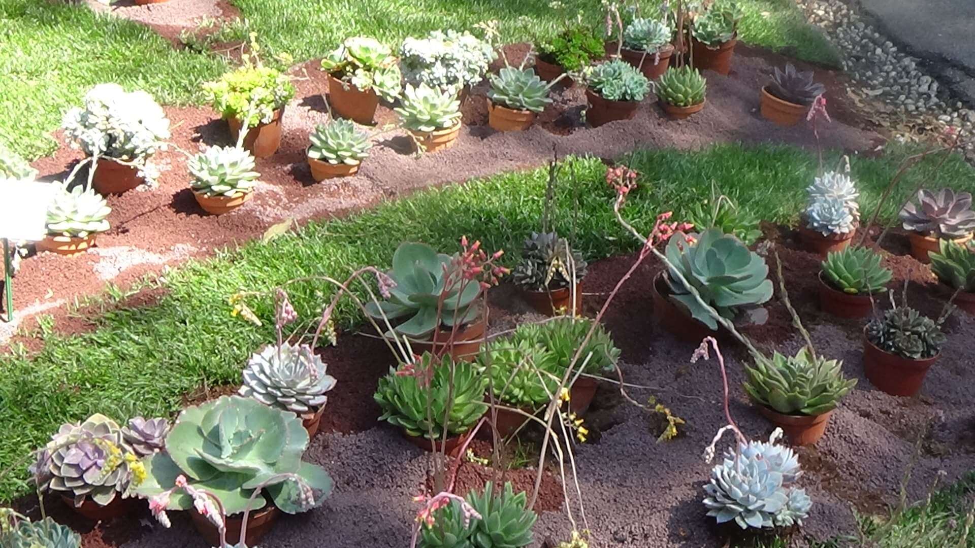 euroflora