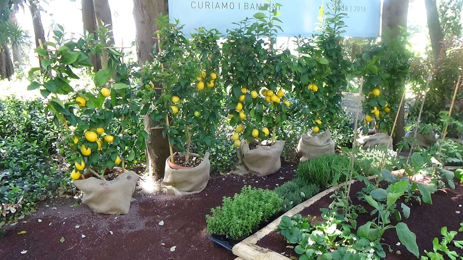 euroflora