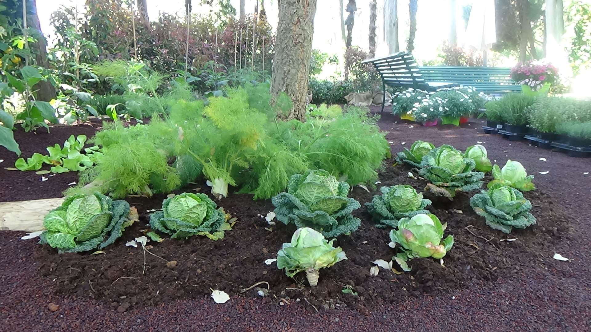 euroflora