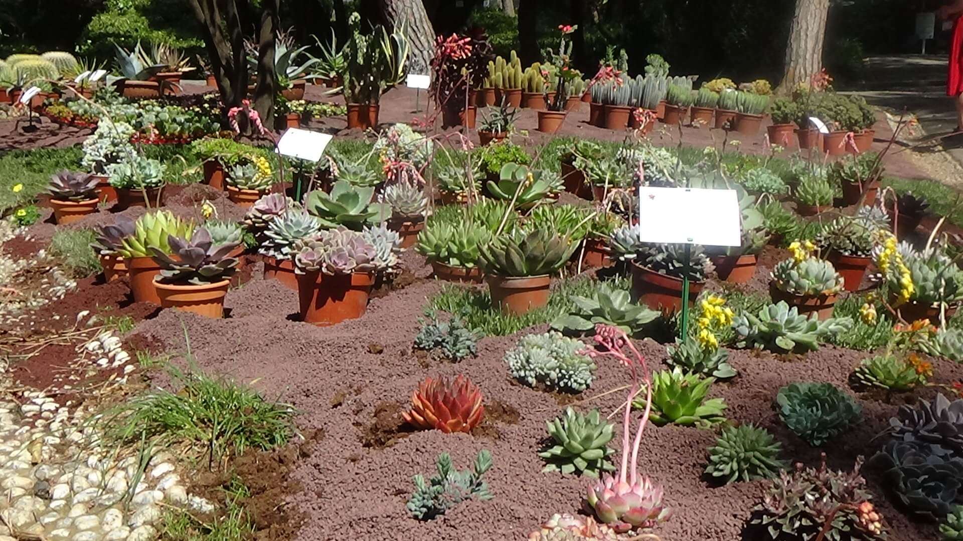 euroflora