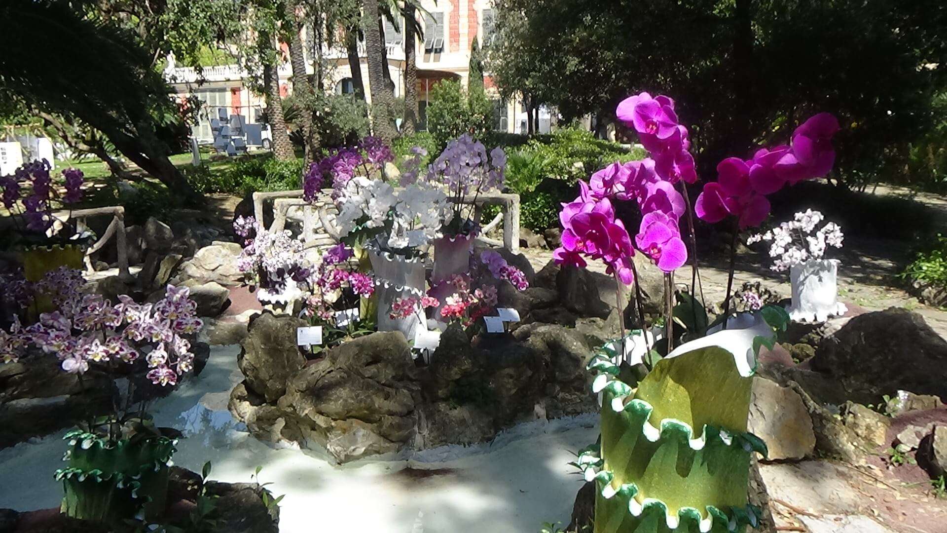 euroflora