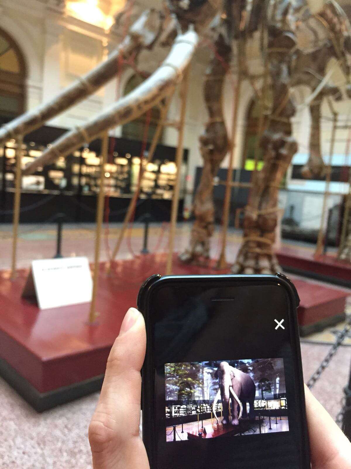 museo di storia naturale