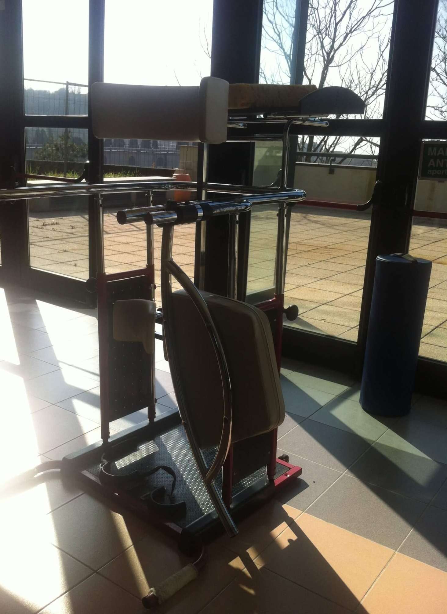 Palestra Rinascita Vita