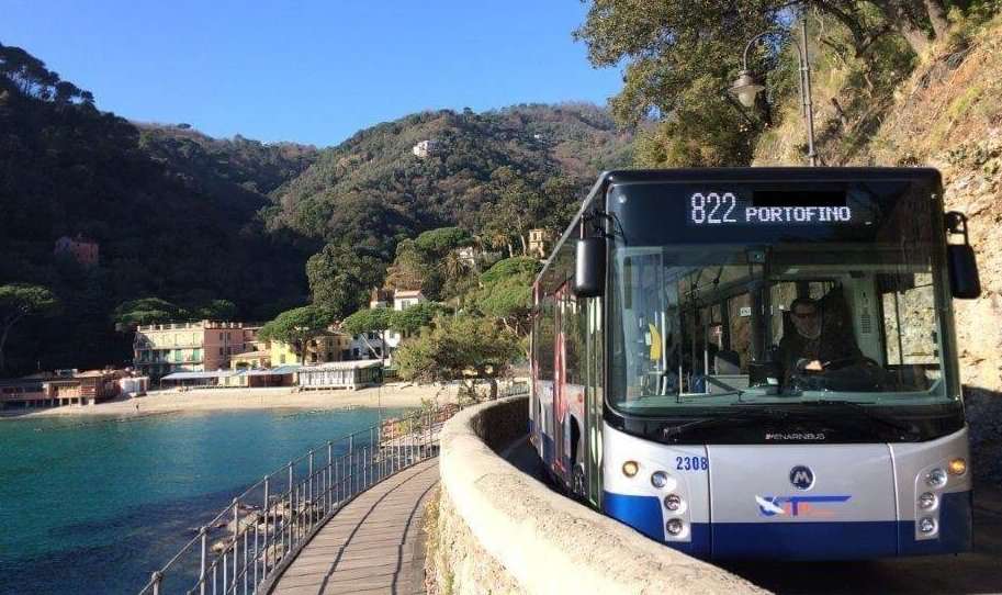 Linea822