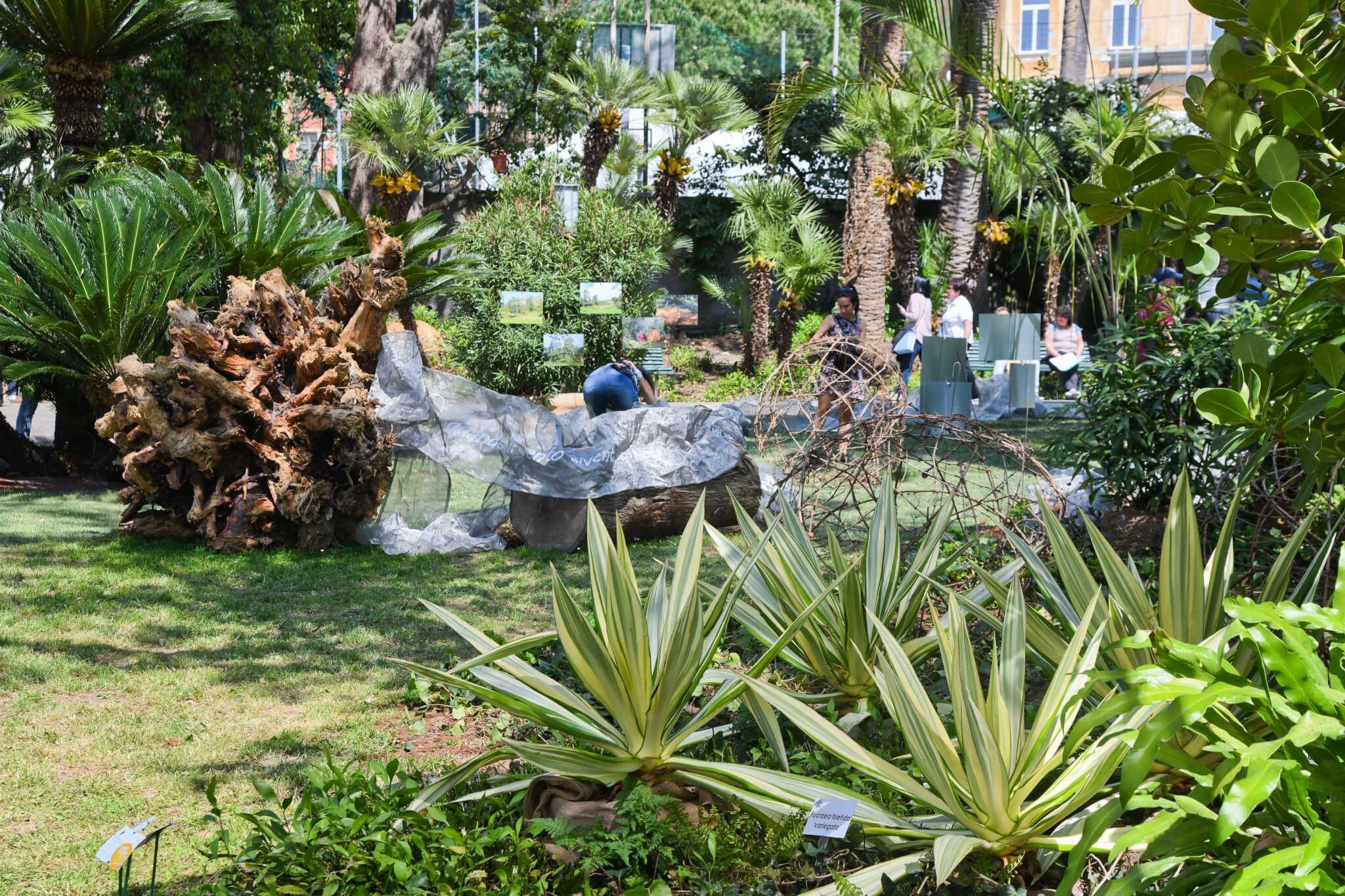 Euroflora