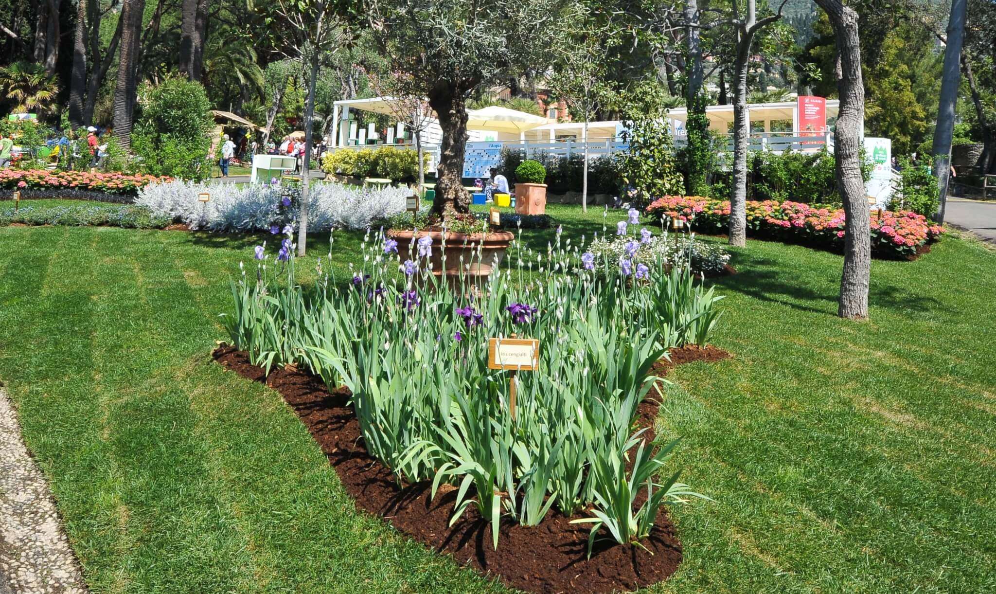 Euroflora