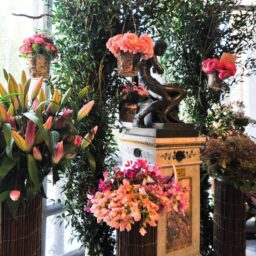 Euroflora